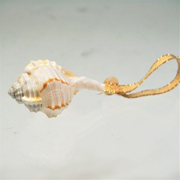 Vintage Conch Seashell Christmas Ornament Ocean Nature Nautical - Picture 6 of 8